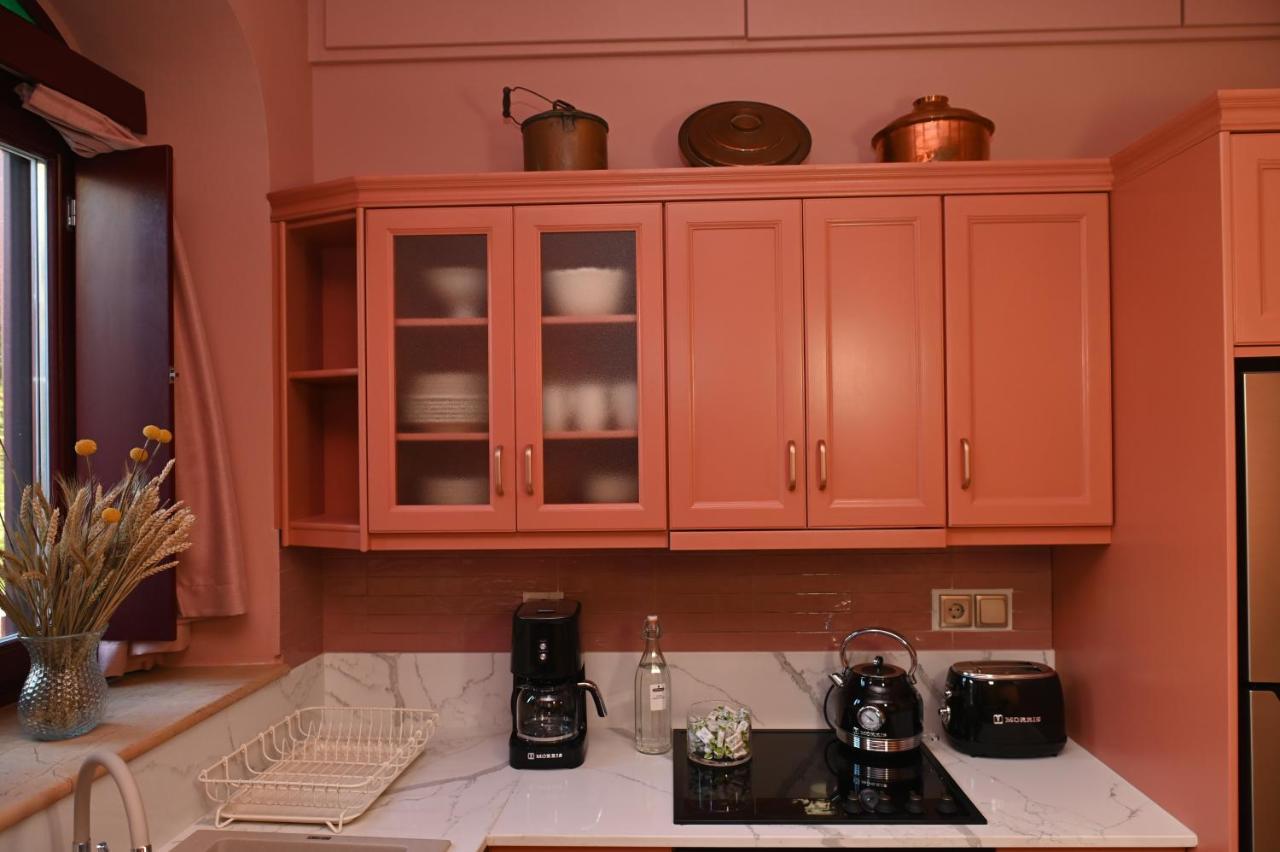 Philoxenia Traditional Apartments Agios Georgios Sykousis Экстерьер фото
